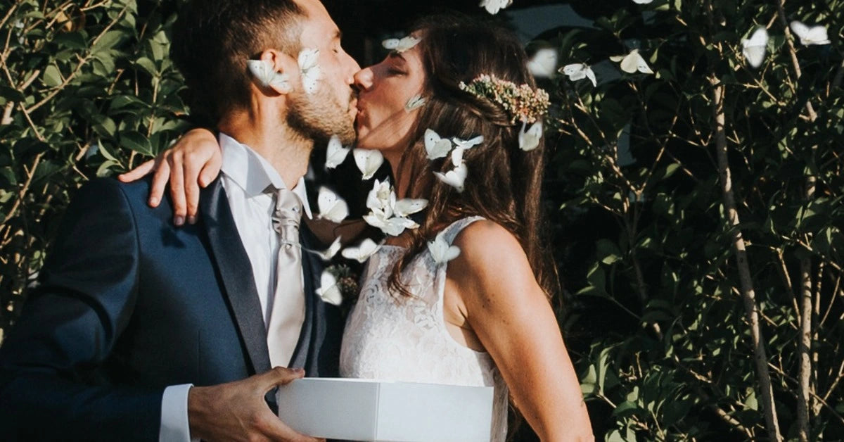 200 Lebende weiße Schmetterlinge zum fliegen lassen für eine Hochzeit oder Veranstaltung