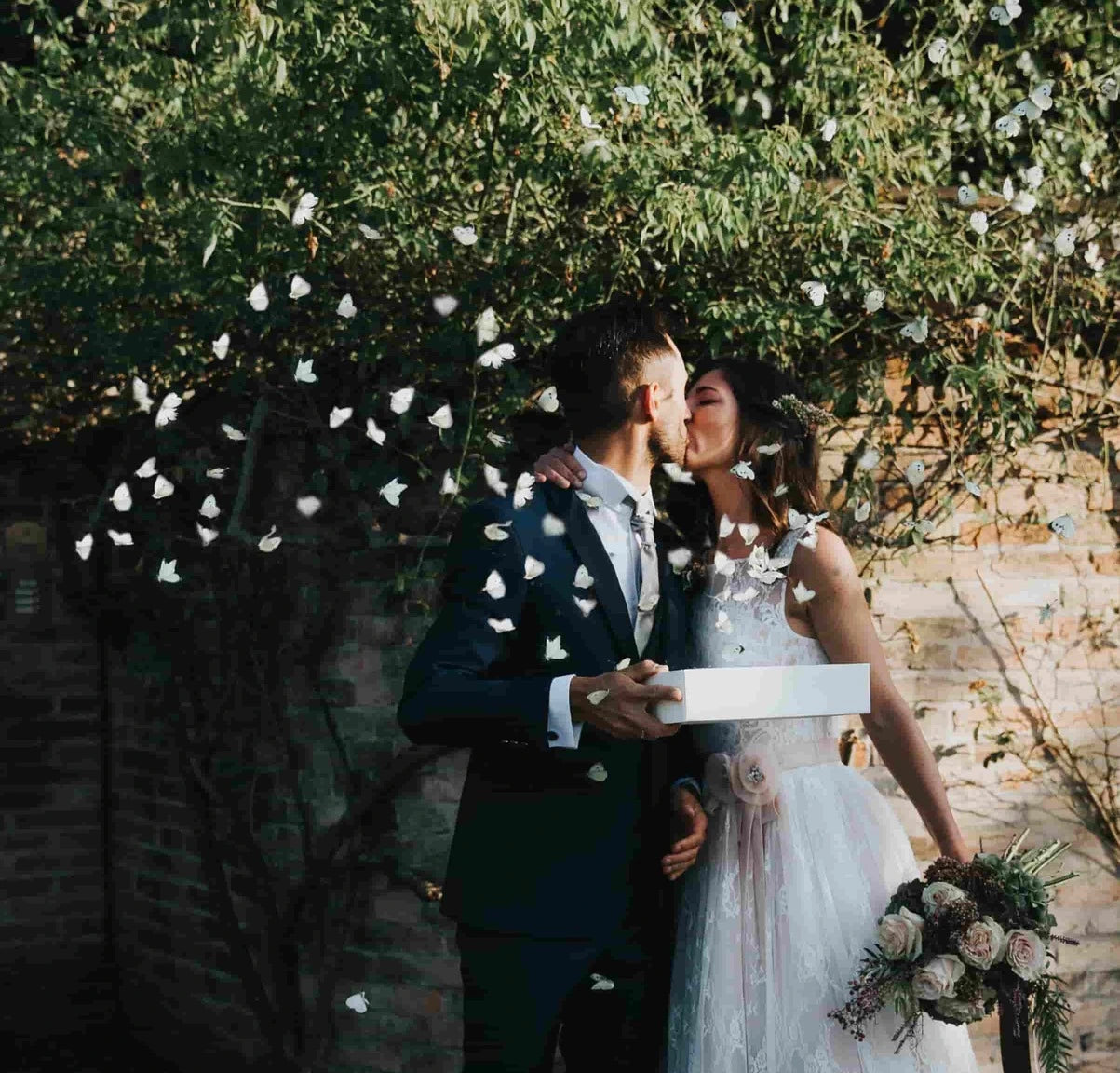 200 Lebende weiße Schmetterlinge zum fliegen lassen für eine Hochzeit oder Veranstaltung