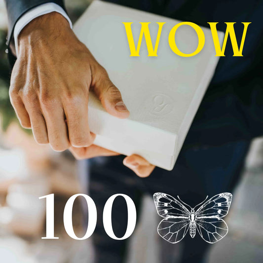 100 Lebende weiße Schmetterlinge zum fliegen lassen für eine Hochzeit oder Veranstaltung